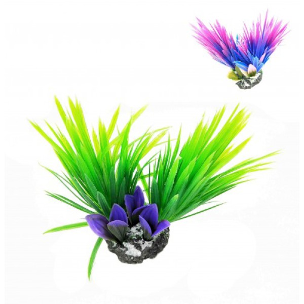 ΔΙΑΚΟΣΜΗΤΙΚΟ ΦΥΤΟ ΕΝΥΔΡΕΙΟΥ